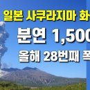 분연 이미지