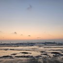 고창대리운전 이미지