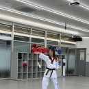 푸르미르 이미지