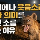 하이에나 | 하이에나 웃음소리의 진짜 의미 알고 나면 소름