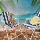 퍼피글랫 | 동탄 애견유치원 마인드몽 일년 넘게 보내고 있는 내돈내산 후기