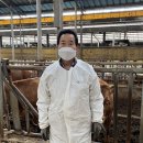 한우왕 축산 이미지