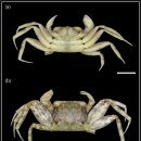 고려엔지니어링㈜ 이미지