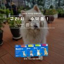 구리보룡약국 이미지
