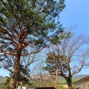 송천1리 마을회관 이미지