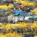 구례의길(지리산둘레길) 이미지