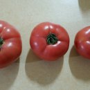 우지농장 이미지