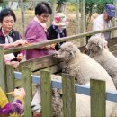 은성 종합 사회복지관 이미지