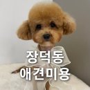 살롱드멍뭉 이미지