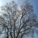 포천한국태권도장 이미지