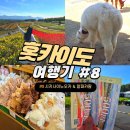 무지개 사슴농장 | 파노라마를 구경할 수 있는 사계채의 언덕 시키사이노오카와 알파카팜 방문후기, 입장료와 운행시간 정보