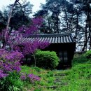 선교장 앞 이미지