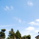 포토갤러리자연사랑미술관 이미지