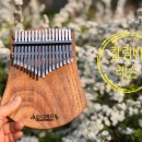 칼림바 초급 이미지