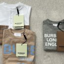 버버리호프 이미지