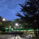 철마체육시설 테니스장 네이버블로그