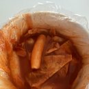 캠토 | 울산 여행 아이랑 호계 토스트 맛집 캠토토스트 호계점