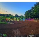 제주제2공항부동산중개사무소 이미지