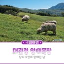 피카소 목장 이미지