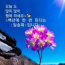 9,22(금).간추린 News 이미지