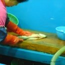 쭈쭈상회 네이버블로그
