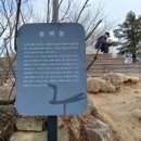 용마산 대삼각본점 네이버블로그