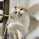 유기볼트 이미지