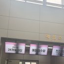 하남문화예술회관 프린세스 캐치티니핑 뮤지컬 후기｜주차 할인 정보, 기대 이상이었던 공연