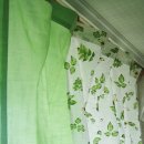 허브그린 이미지