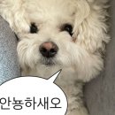 신호등포차 이미지
