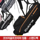 프로칼라 이미지