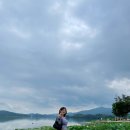 두천농장 | 양평 두물머리, 서울 근교 가볼만한 곳 추천 (주차, 연꽃, 연핫도그, 포토존 등)