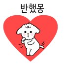 모멘트 핏 이미지