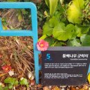 위미중앙로 이미지