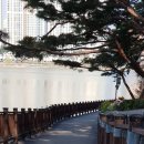 광교 푸른숲도서관 이미지