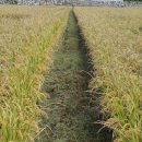 길 부동산중개 이미지