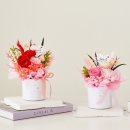 메종드데코 이미지