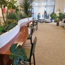 싱글벙글복어옥계점 이미지