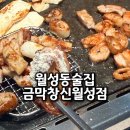 월성동 술집 신상 안주 맛집 금막창 신월성점 추천