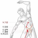 예의곡천 이미지