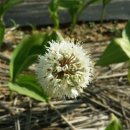 디딤돌농장 이미지