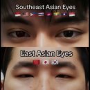 영락농원 | 퇴사 후 일상 | 해외취업 박람회, 지피티 다이어트