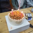 보아스 전자 이미지