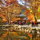 노작호수공원 네이버블로그