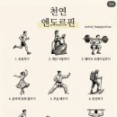 세로토닌