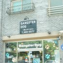 갱스터도그 이미지