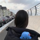 이상하게 따듯했던 12월의 강원도