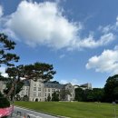 고려대학교 심리융합과학대학원 이미지