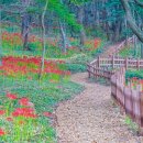 용천사