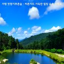 숲속의맑은향기 이미지